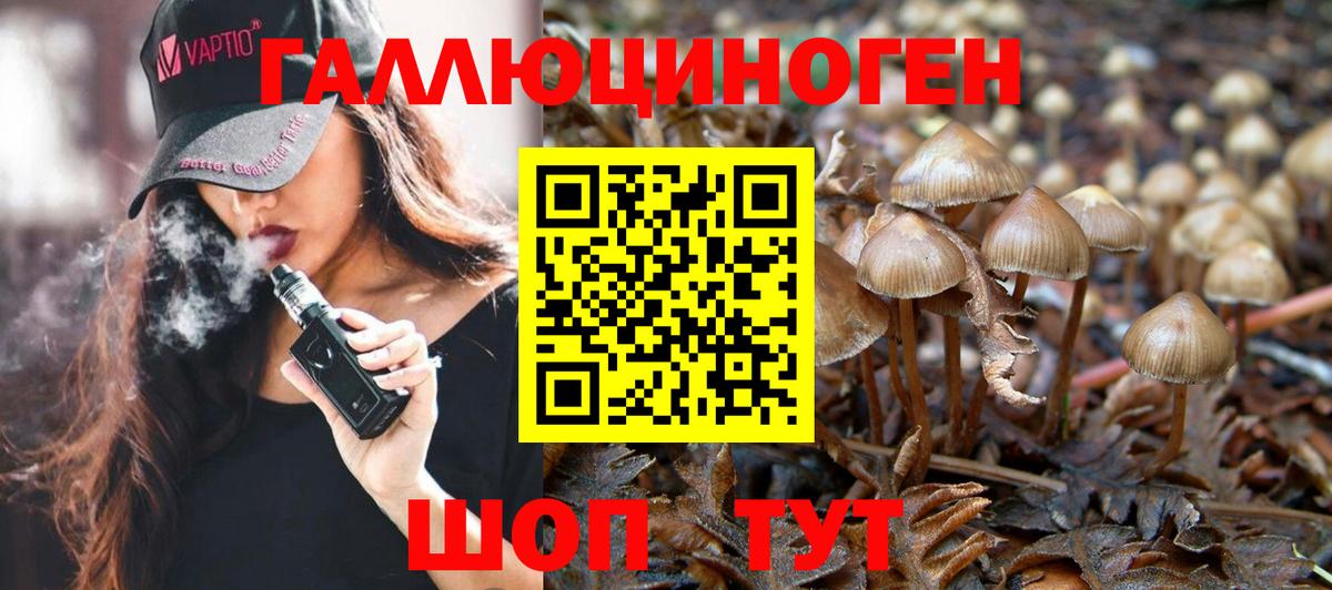 Галлюциногенные грибы мицелий  Псилоцибиновые грибы MAGIC MUSHROOMS  Вход с VPN  Железногорск 